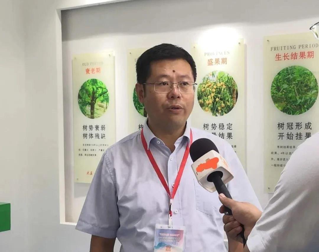 http://www.sanrepian.net.cn/zixun/71.html|電商資訊